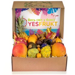 Бокс " YESFRUKT MAX "
